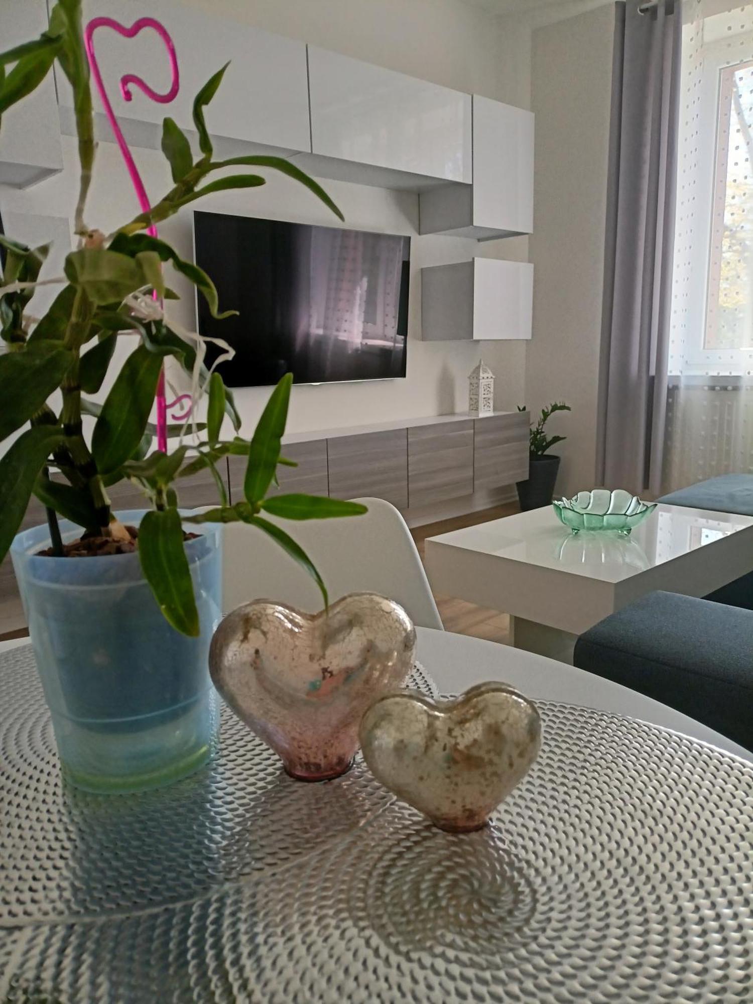 Apartament Slowackiego 41 Jelenia Góra Exterior foto